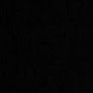 Meet your Posher, Mikey